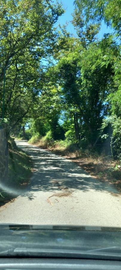 Appartamento Vacanze Malu Moneglia Kültér fotó